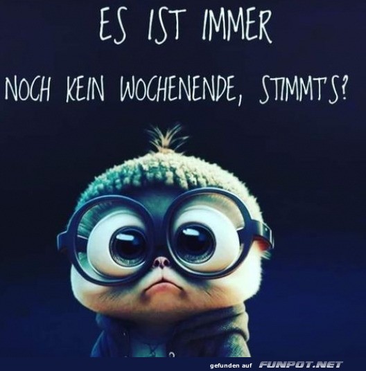 Oh nein, Werktag-Schock!