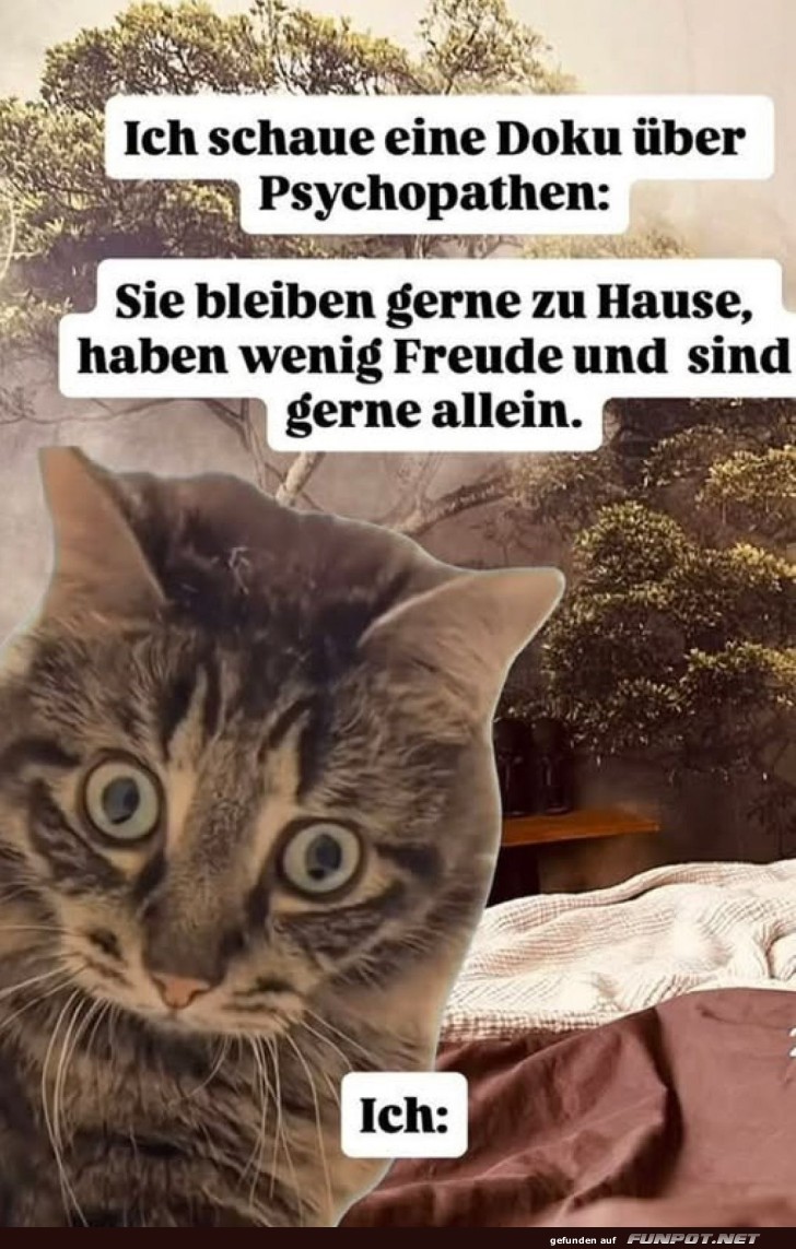 Wenn der Doku-Abend zu persnlich wird