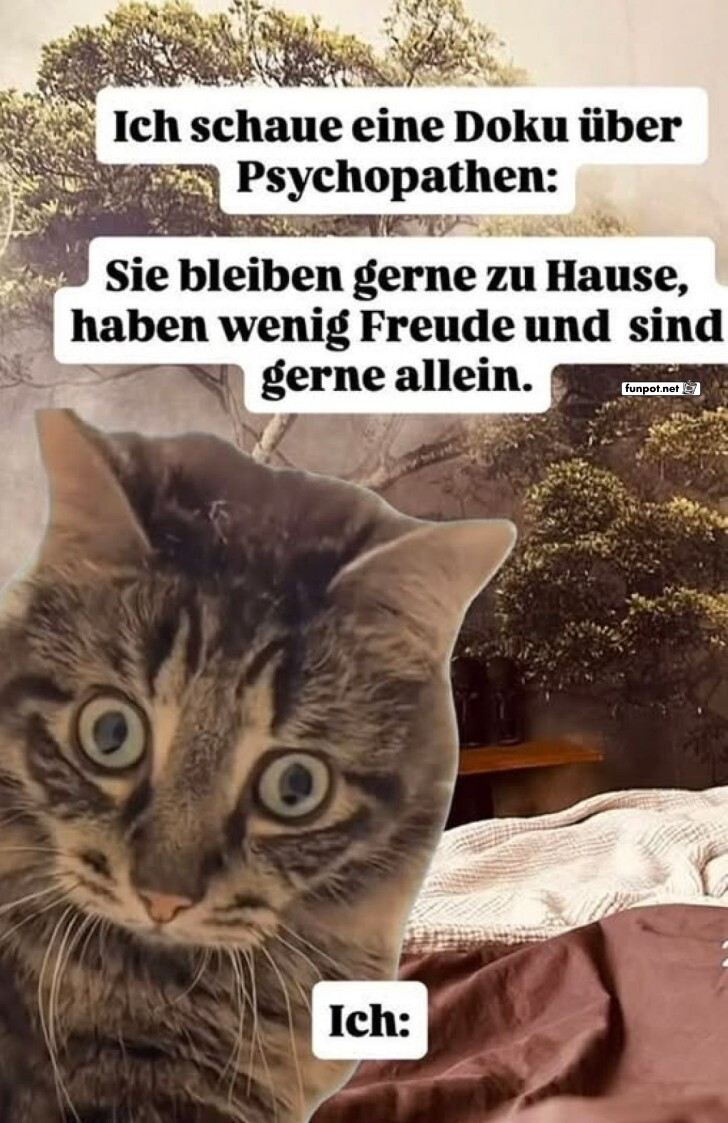 Wenn der Doku-Abend zu persnlich wird