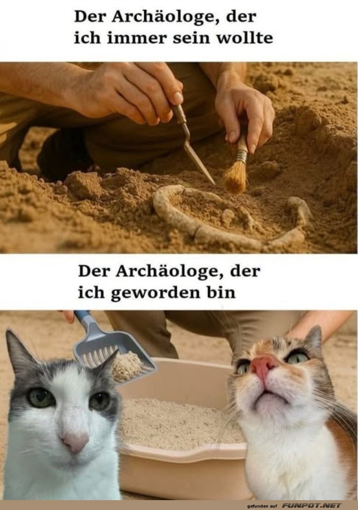 Vom Ausgraben zu Katzenkrallen!