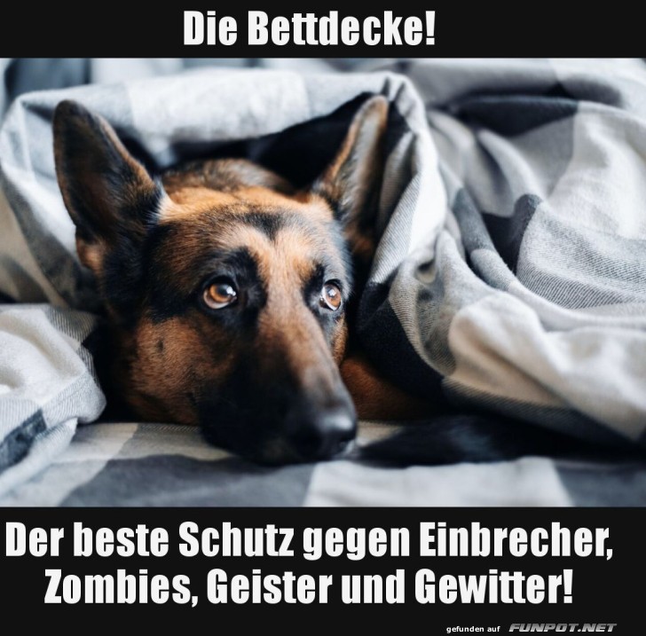 Helden der Kuscheldecke!