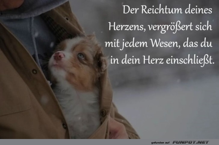 Herzenswrme in Fellform