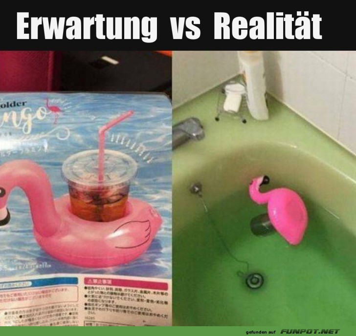 Flamingo-Gate: Ein Planschbecken-Drama