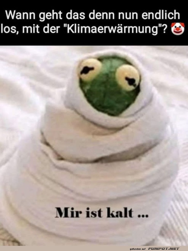 Kermit wartet auf die globale Erwrmung ??