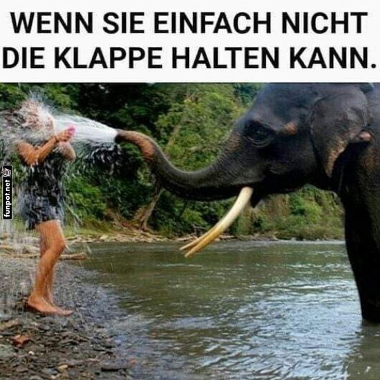 Elefanten-Dusche: Wenn Reden Silber ist...