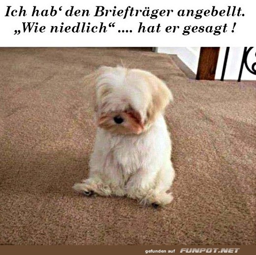 Bellen mit Niedlichkeit: Lieferung angenommen!