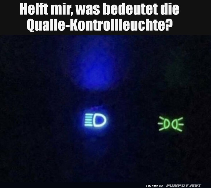 Qualle-Kontrollleuchte im Auto entdeckt!
