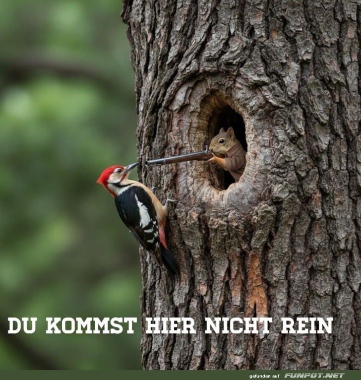 Specht-Wchter: Zutritt verweigert!