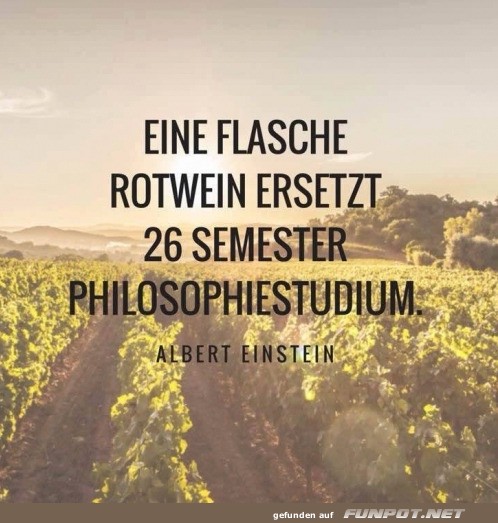 Wein: Der wahre Philosoph in der Flasche