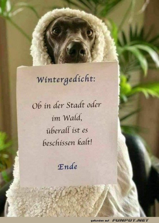 Hundemantel-Poet: Schnauze voll von Klte!