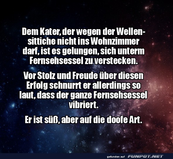 Der unsichtbare, aber laute Kater