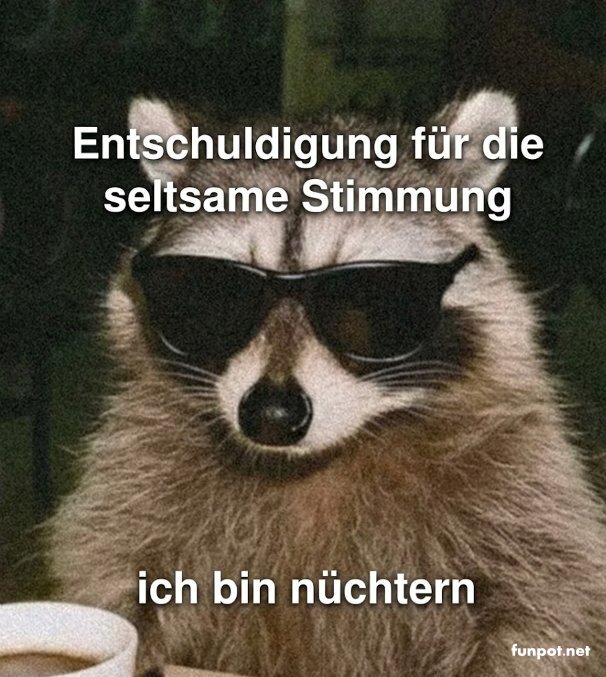 Rtselhafter Waschbr: Nchternheit erklrt alles!