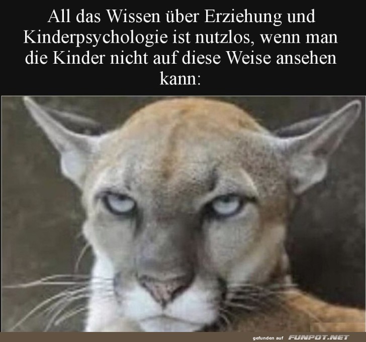 Wenn Blicke erzhlen knnten