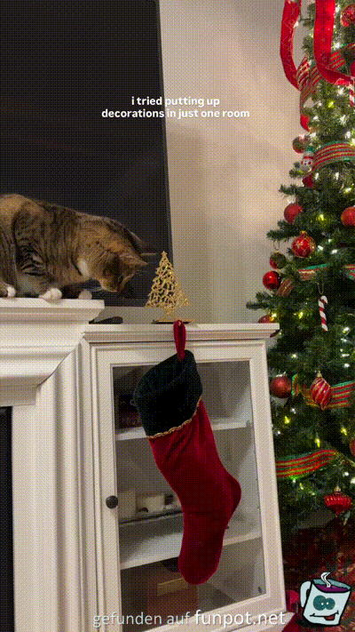Katze mag die Weihnachtdeko nicht