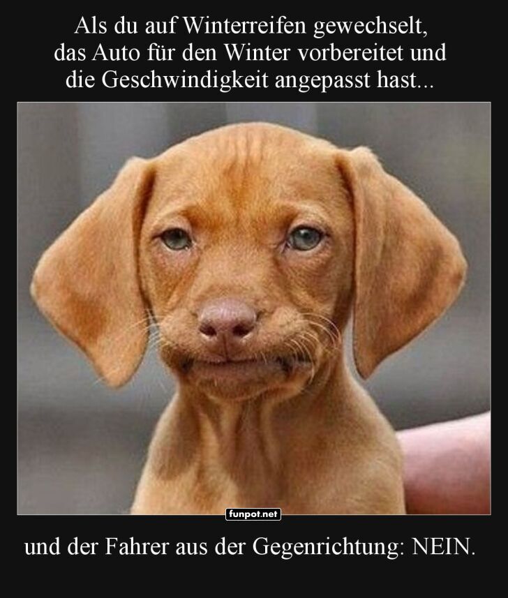 Winterreifen und skeptische Blicke Winterreifen und skeptische Blicke