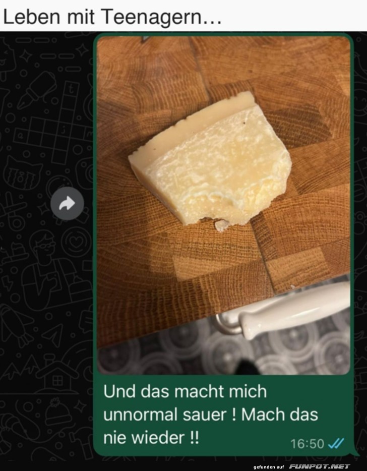 Käsekrise im Teenager-Haushalt