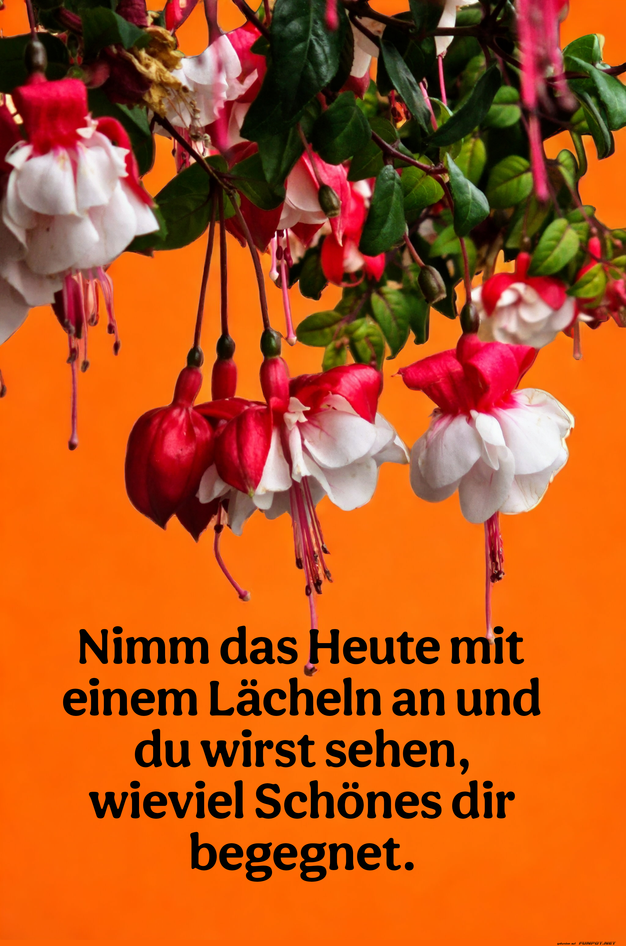 nimm das heute mit einem lcheln