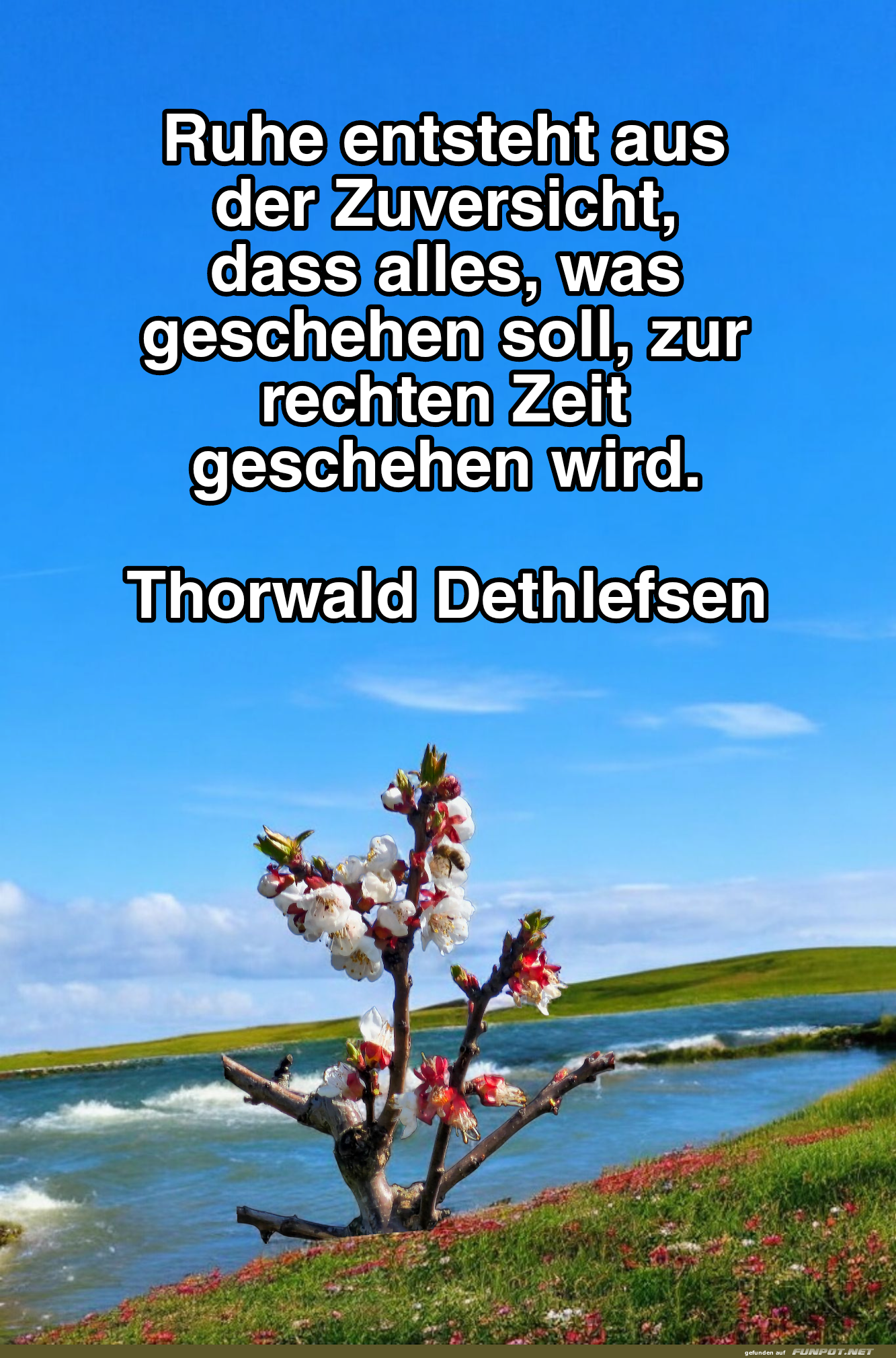 ruhe entsteht aus der zuversicht