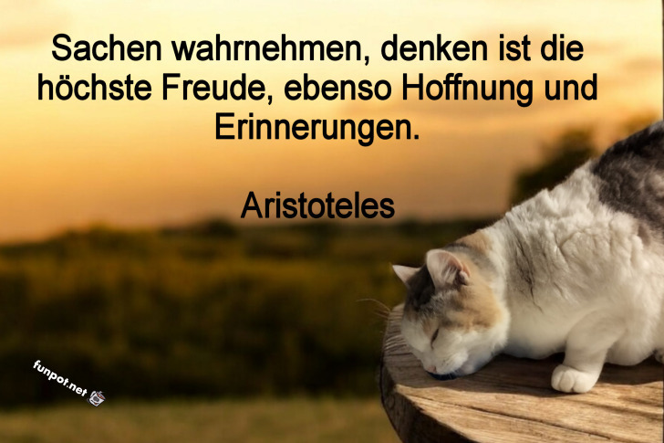 Sachen wahrnehmen Sachen wahrnehmen