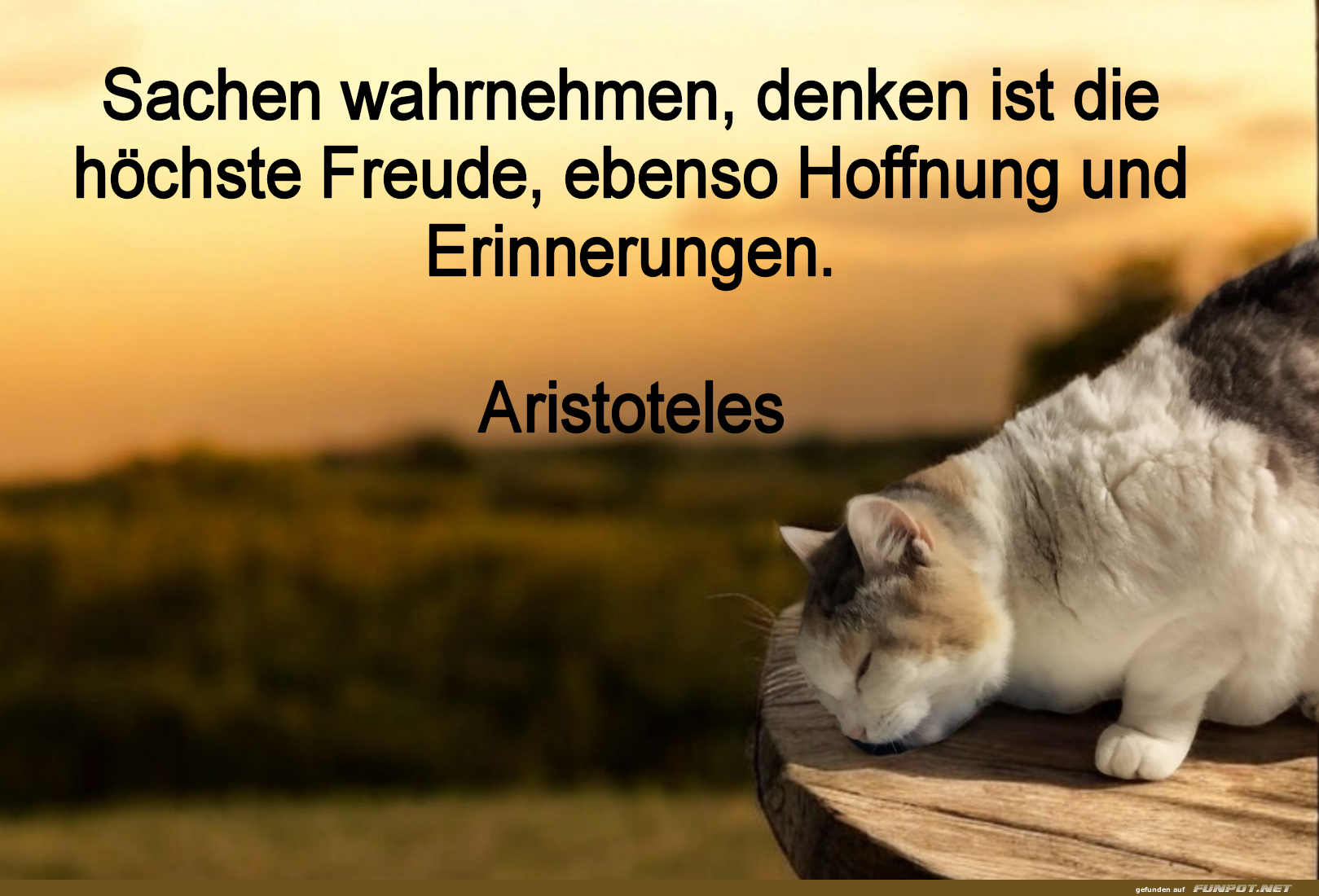 Sachen wahrnehmen