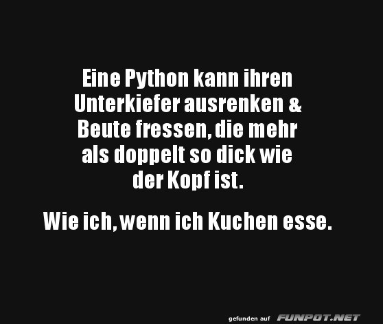 Kuchenschlacht  la Python