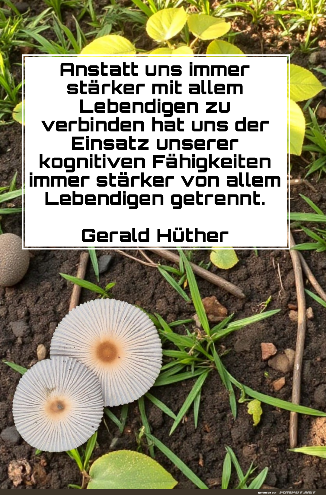 anstatt uns immer strker