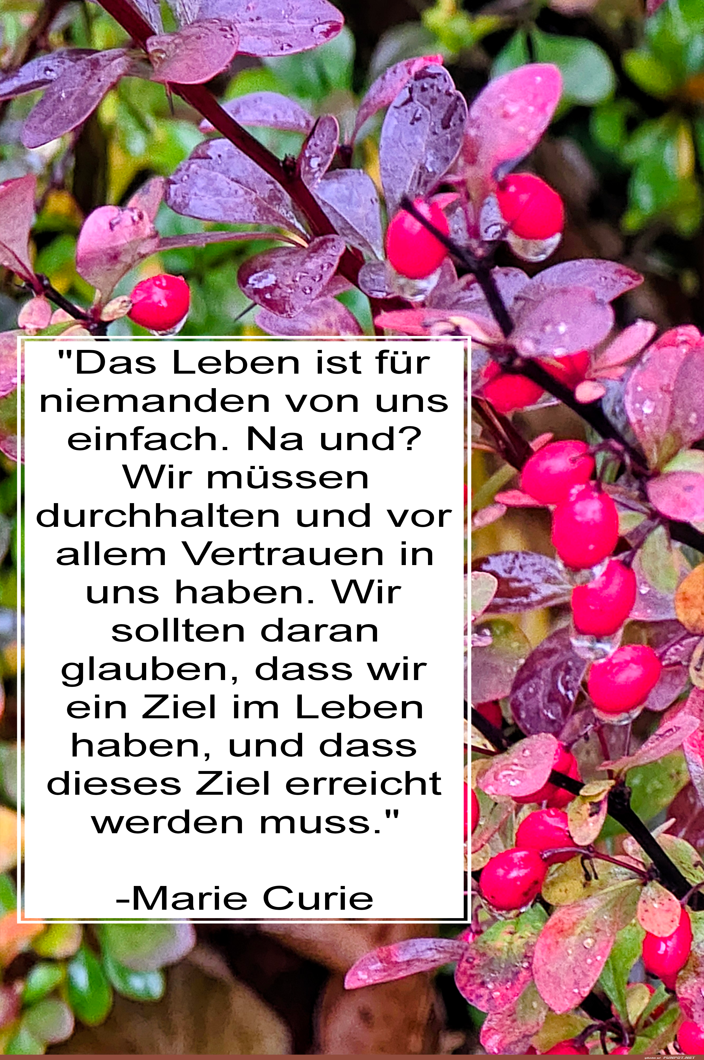 das leben ist für niemanden