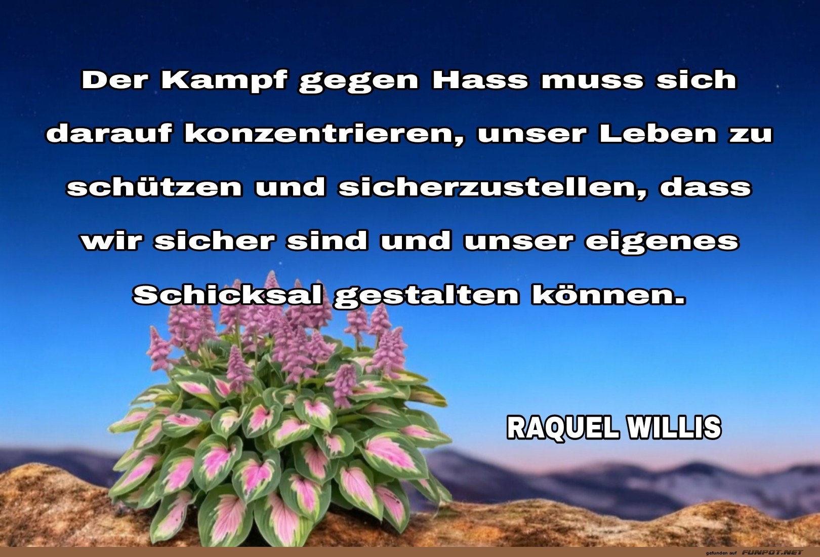 der kampf gegen hass