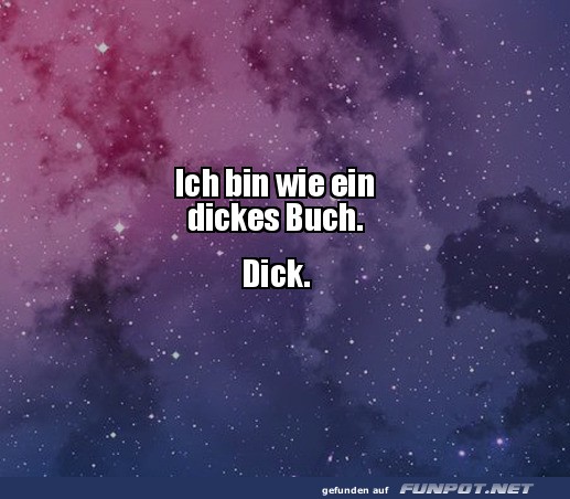 Buch mit Witz und Format!