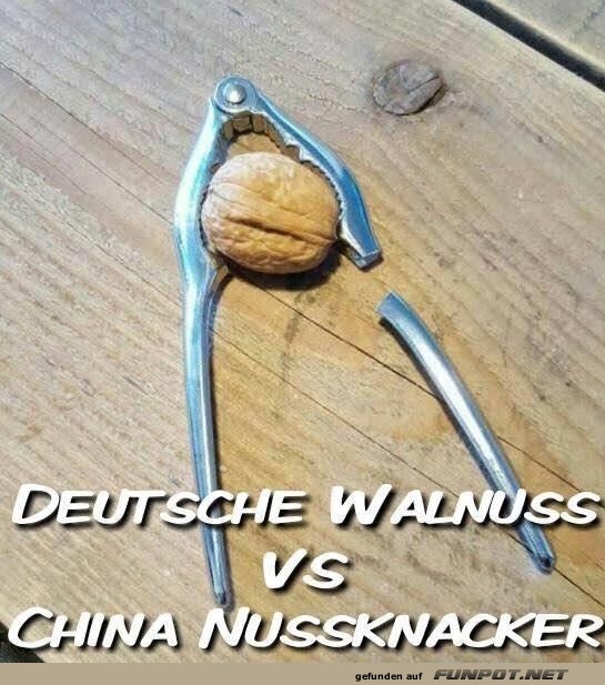 Da hat die Walnuss gewonnen!