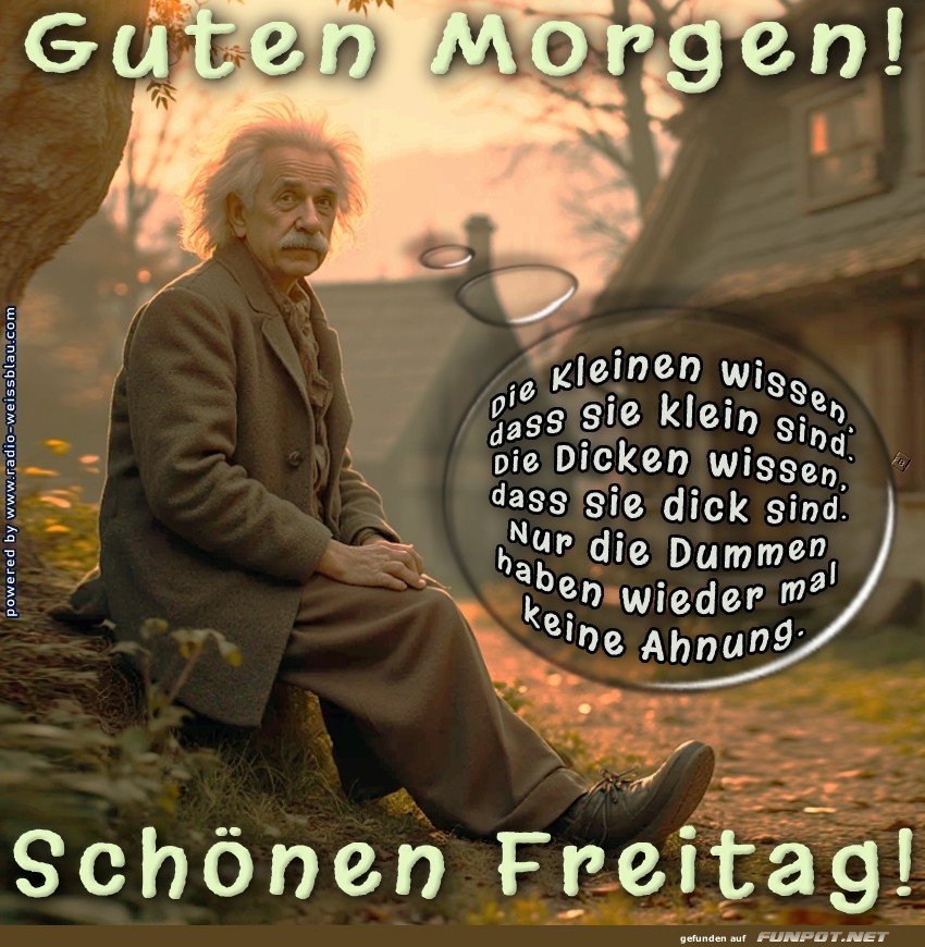 Freitag