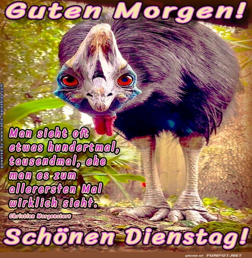 Dienstag