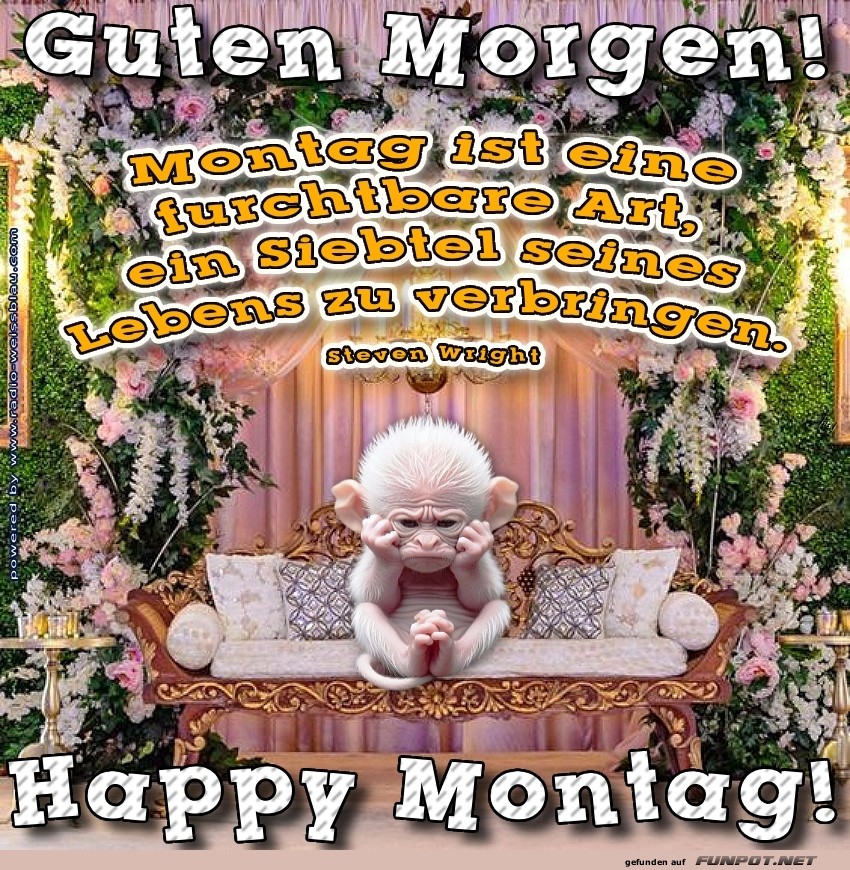 Montag-Muffel und der Morgenwahnsinn