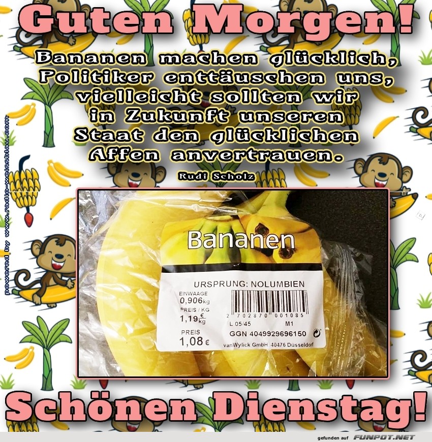 Bananiger Dienstag-Start!