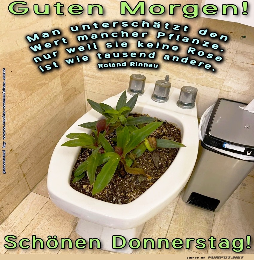 Toilettenbotanik: Der Morgen startet grn!