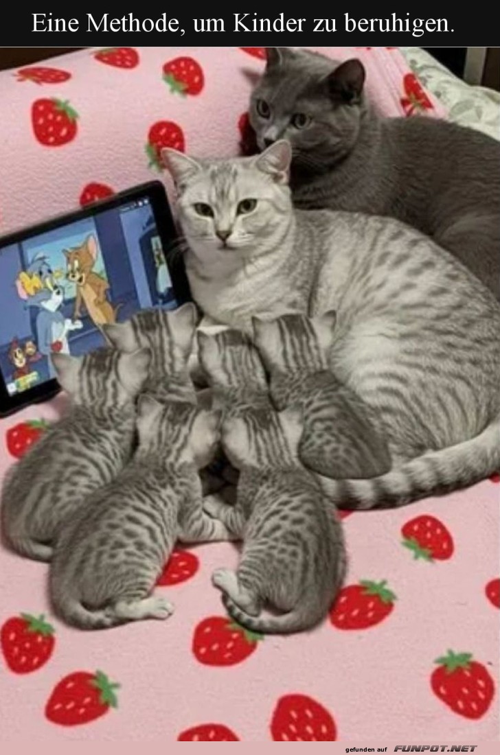 Ktzchen-TV: Tom & Jerry Edition!