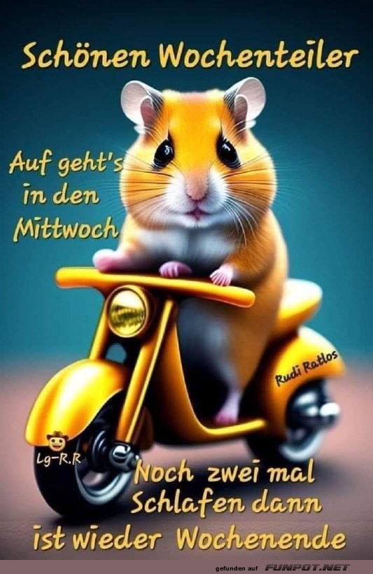 Rasender Hamster: Mittwochs-Motorradfahrt!