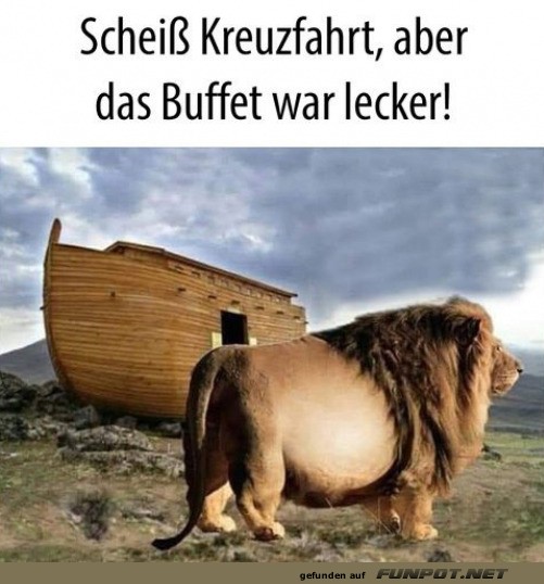 Wenn der Löwe das Ziel nicht erwartet!