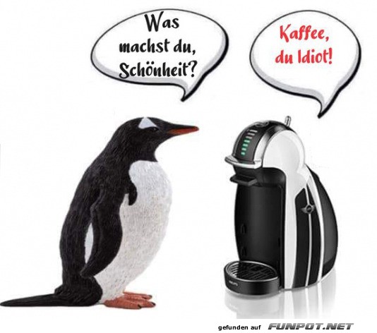 Pinguin trifft Kaffeemaschine: Ein Missverständnis