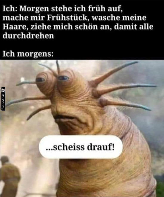 Gute Vorsätze gegen Morgenscheu Gute Vorsätze gegen Morgenscheu