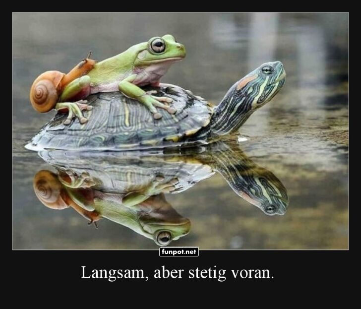 Teamwork: Langsamer geht's kaum!