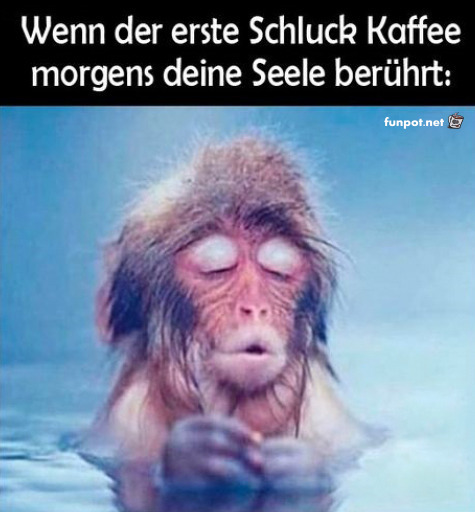 Der Kaffee-Moment: Zen im Becher!