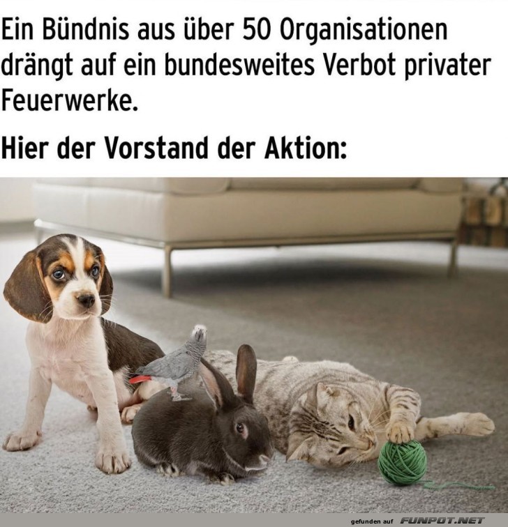 Tierische Fhrung fr weniger Knallerei!