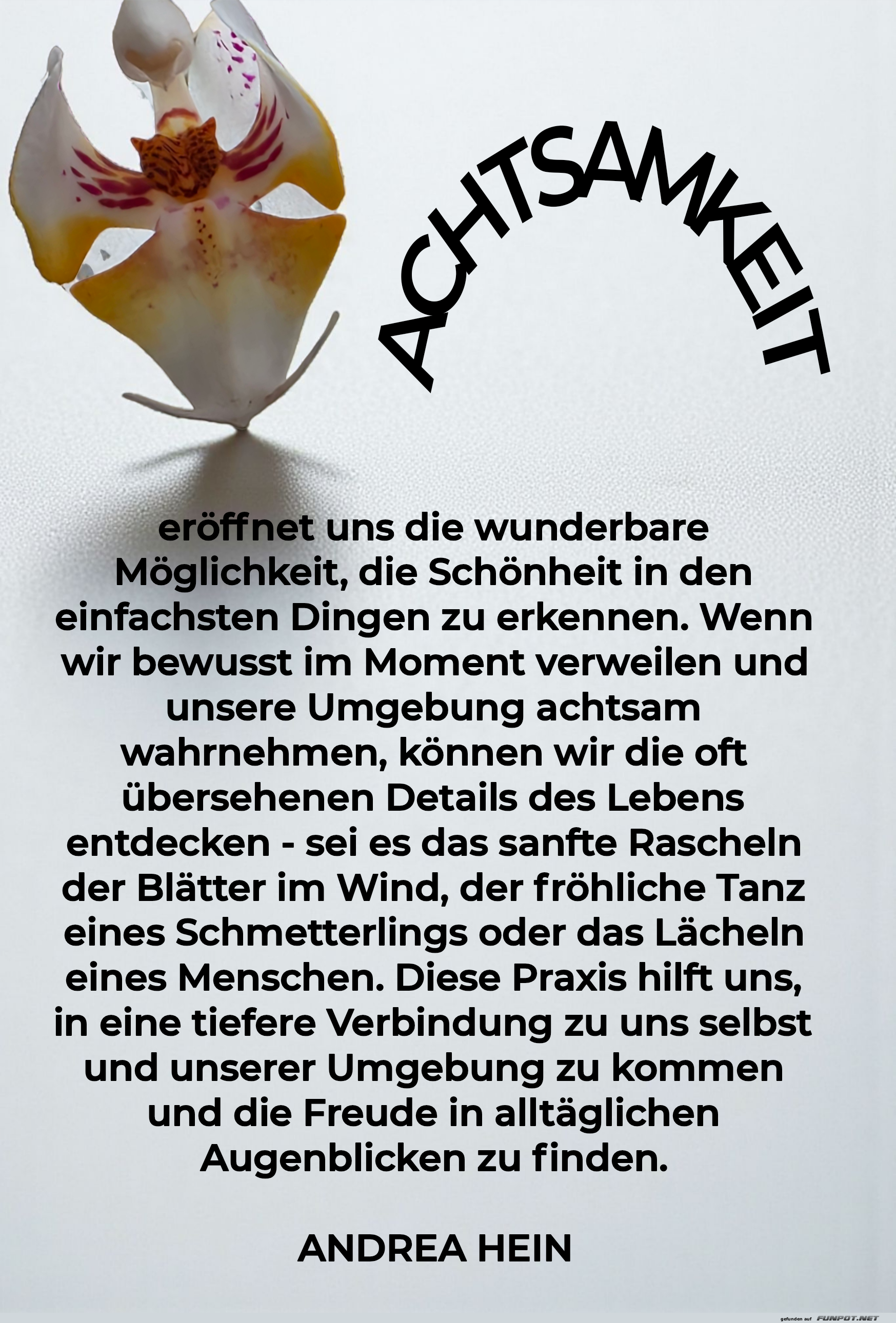 achtsamkeit eröffnet