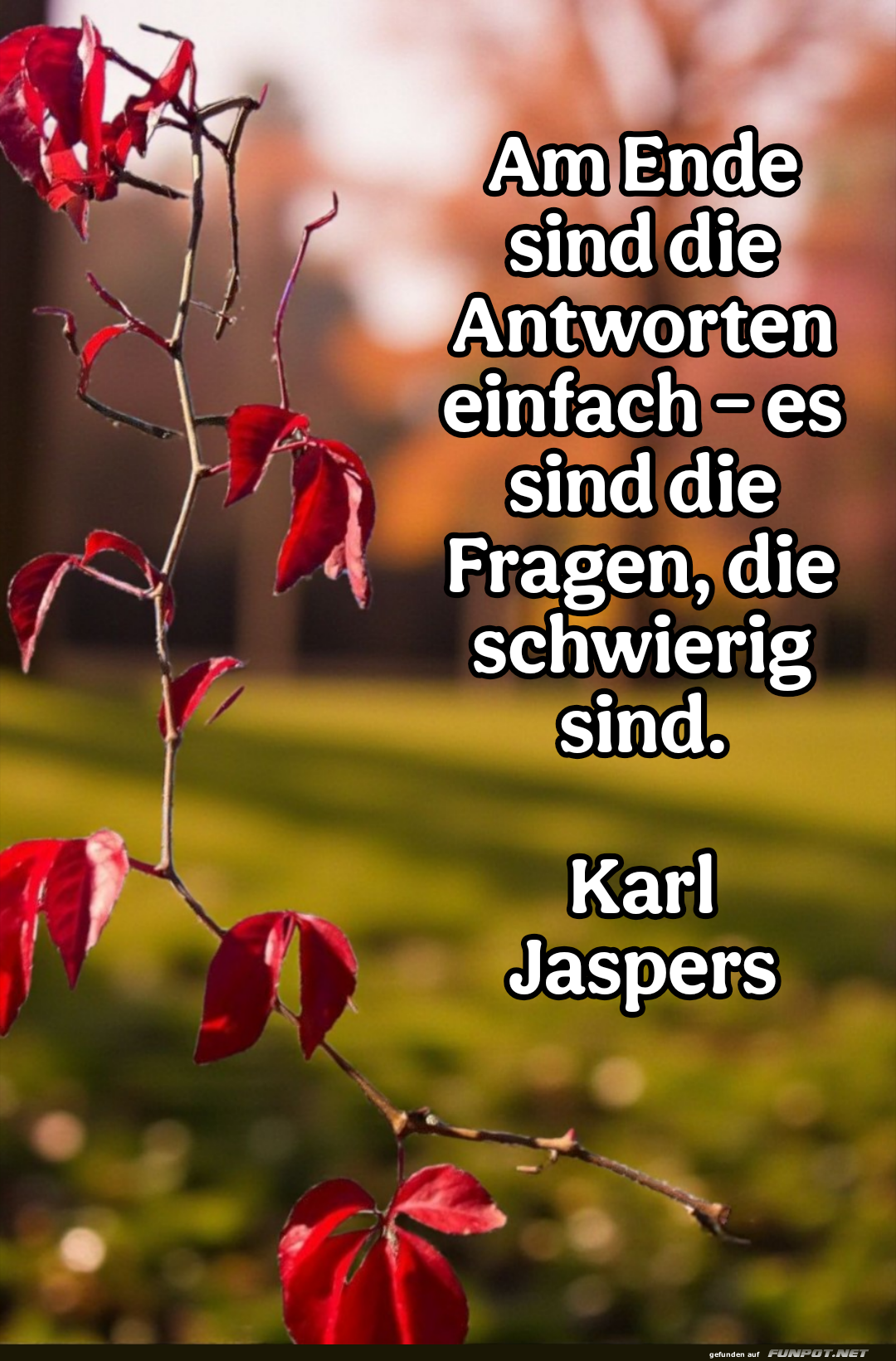 am ende sind die antworten