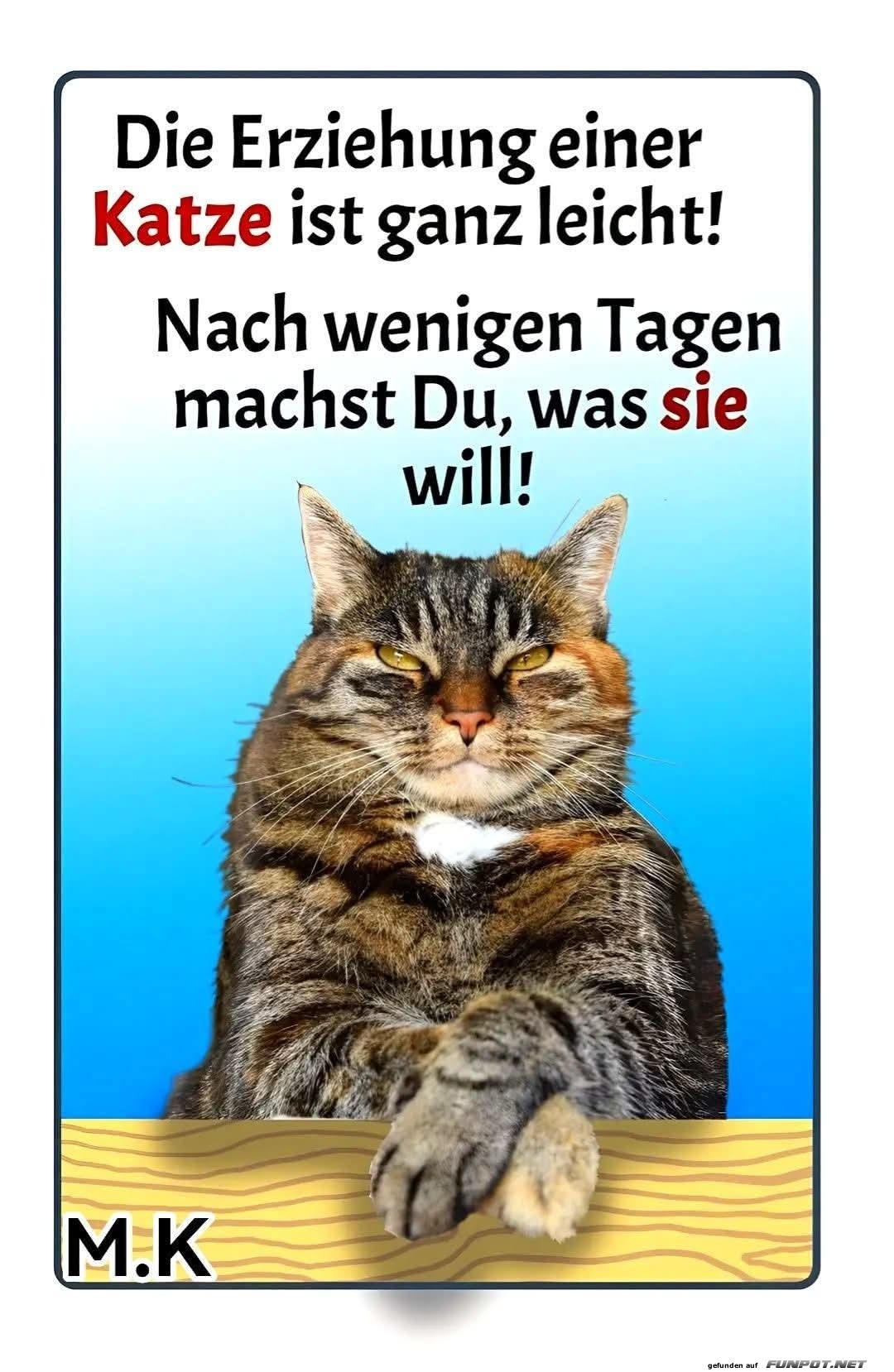 die einzige erziehung