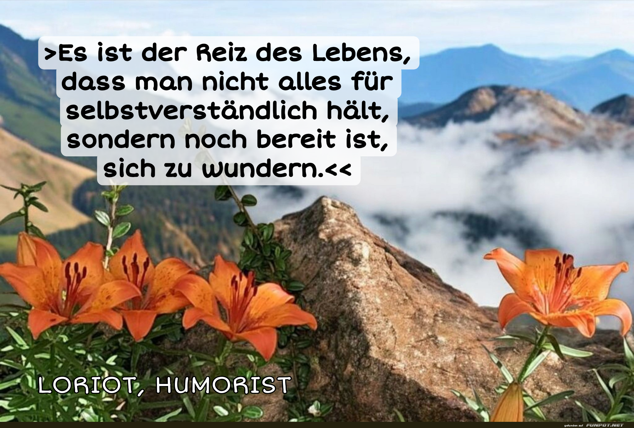 es ist der Reiz des lebens