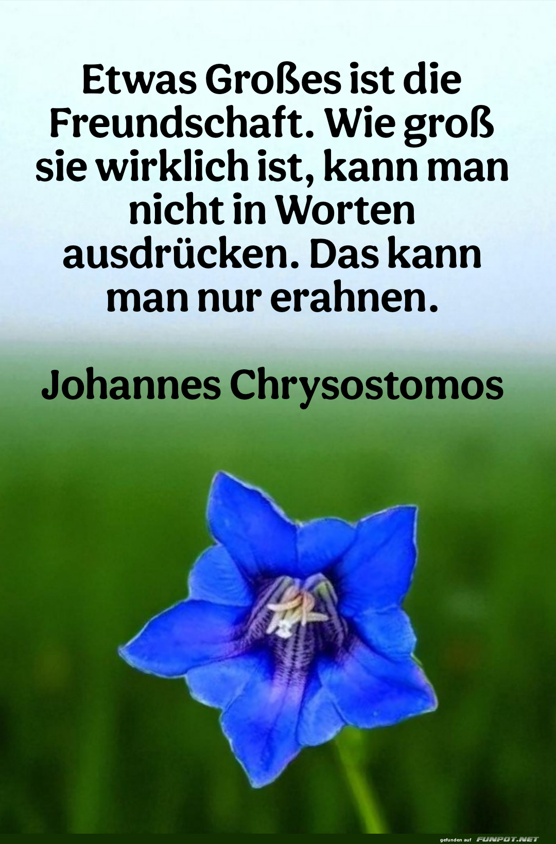 etwas groes ist die freundschaft