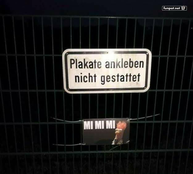 Wenn das Verbot selbst ironisch wird