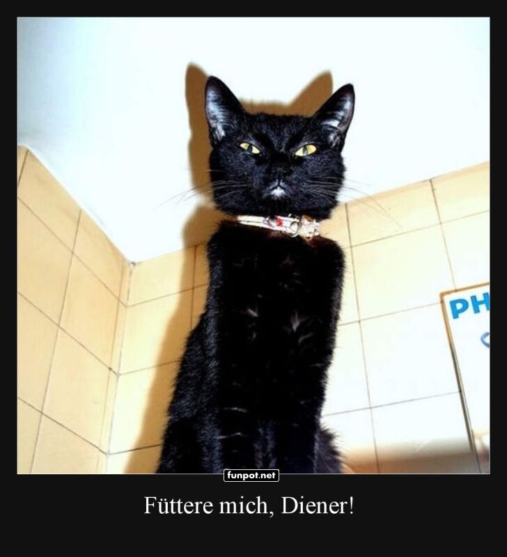 Knigliche Futterforderung